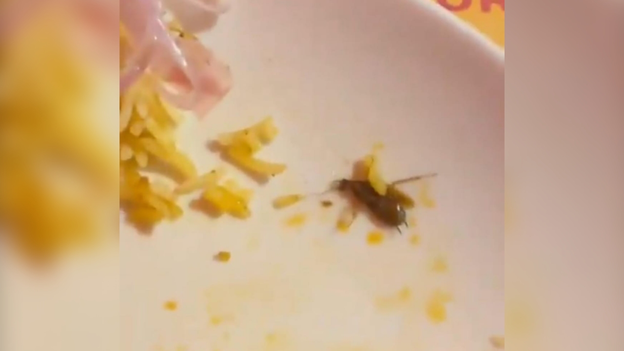 Cockroach found in Biryani at posh restaurant in Jubilee Hills