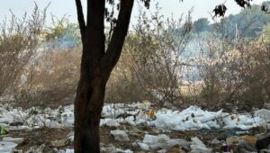 Miyapur residents express frustration over open burning of garbage