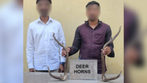 Two held for illegal Deer Horn possession in Bowenpally
