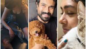 Telugu film industry stars and their adorable pets