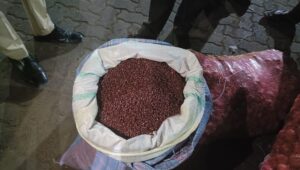 Cyberabad police seize 1.2 tons of prohibited cotton seeds worth Rs. 30 lakhs