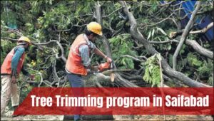 TSSPDCL to organise Tree Trimming program in Saifabad on May 28