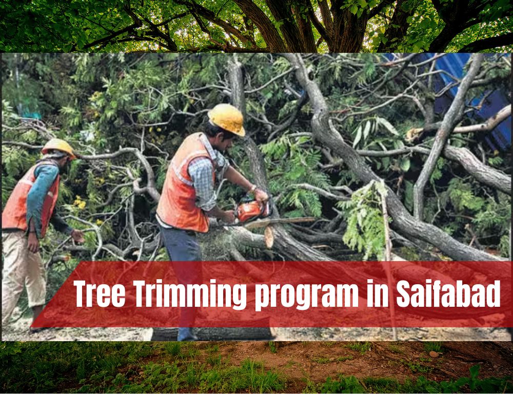 Tree Trimming in saifabad