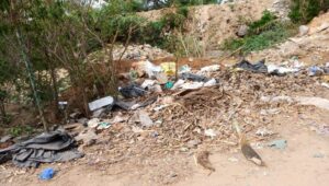 Is Neknampur Lake dumping spot for Manikonda Municipality?