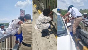 Durgam Cheruvu Cable Bridge: Madhapur Traffic Police save woman from suicide attempt