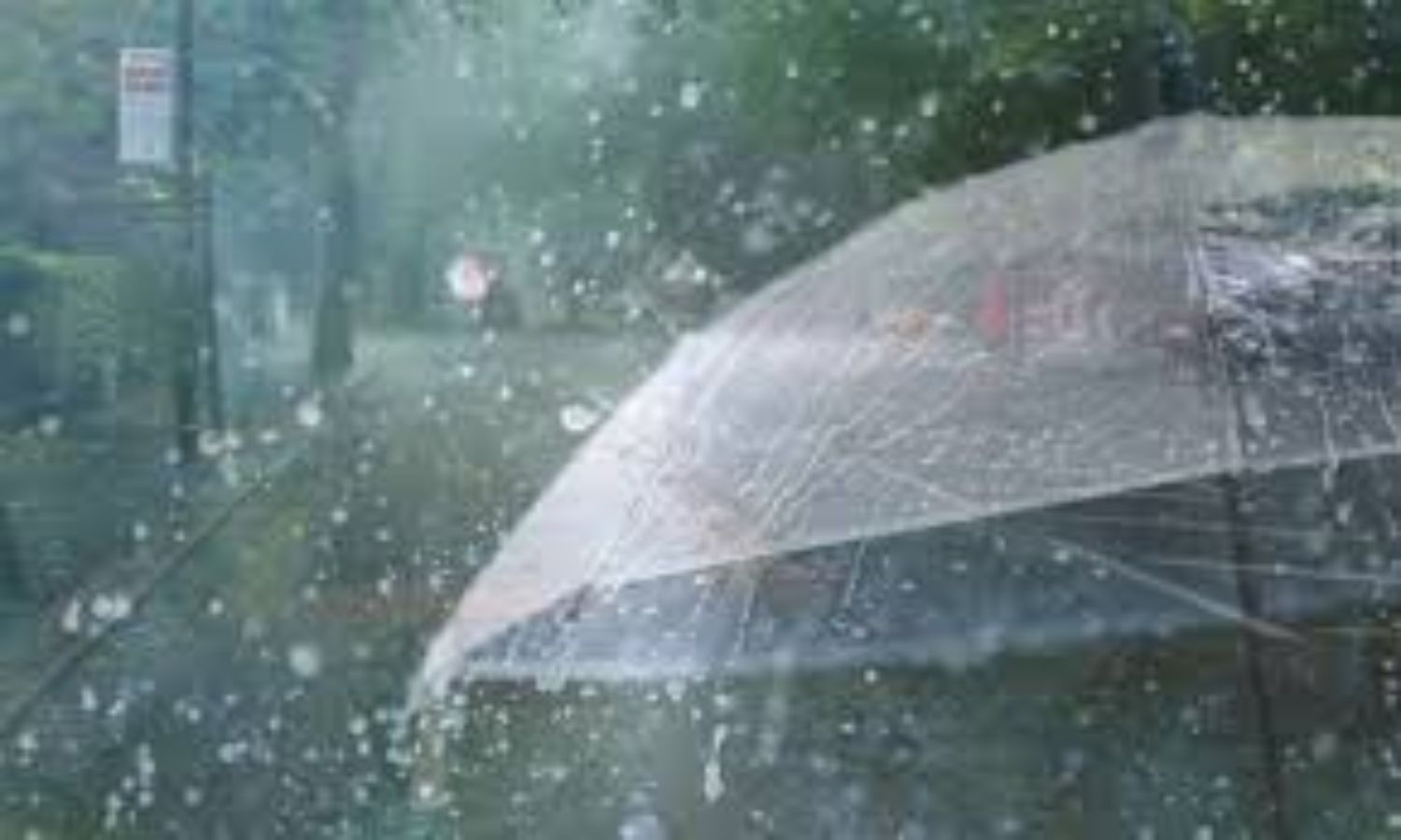 Southwest Monsoon Enters Telangana; Yellow Alert Issued To Some Areas