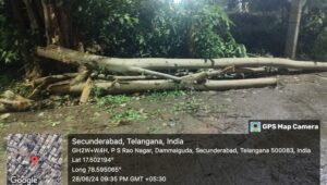 Illegal felling of six trees in Dammaiguda prompts immediate action