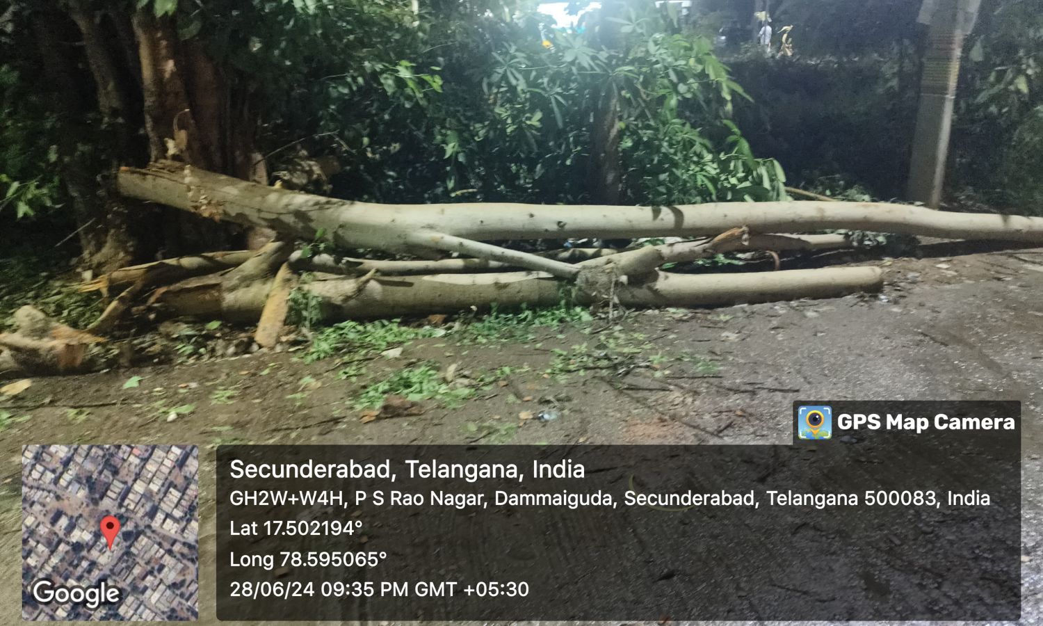illegal tree felling Dammaiguda