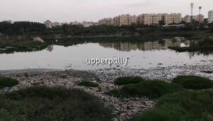 Residents demand immediate cleanup of Upparpally Lake amid sewage, garbage crisis